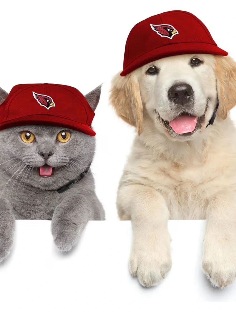 Dog NFL Little Earth hat Red Cap - Adjustable Baseball Hat